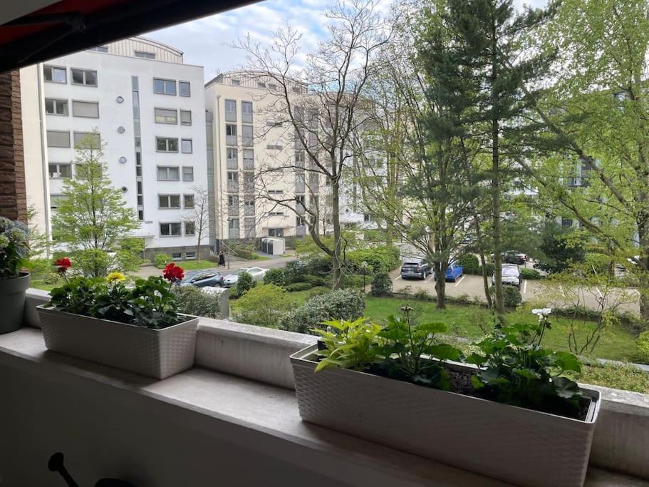 Gemutlich Und Moderne Wohnung In Dusseldorf Exterior photo